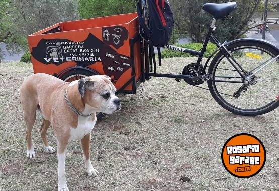 Otros - triciclo - En Venta