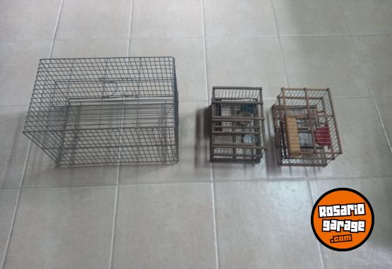 Otros - 3 Jaulas para pajaros mas 2 tramperas - En Venta