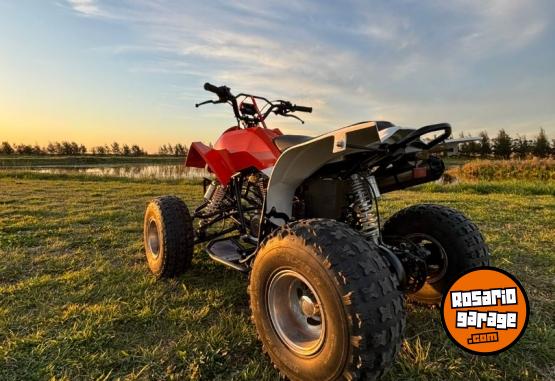Cuatris y UTVs - Zanella Fx250 2010  1Km - En Venta