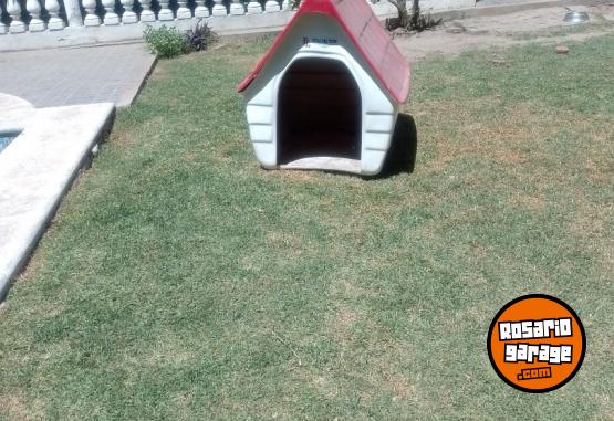 Otros - cucha de perro - En Venta
