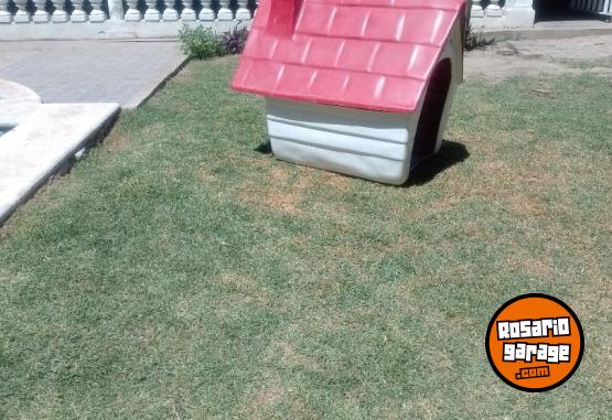 Otros - cucha de perro - En Venta