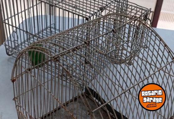 Otros - Jaulas para pajaros de alambre - En Venta