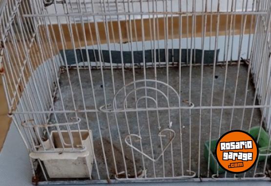 Otros - Jaulas para pajaros de alambre - En Venta