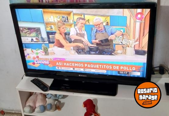 Electr�nica - Televisor 42 pulgadas Top House - En Venta