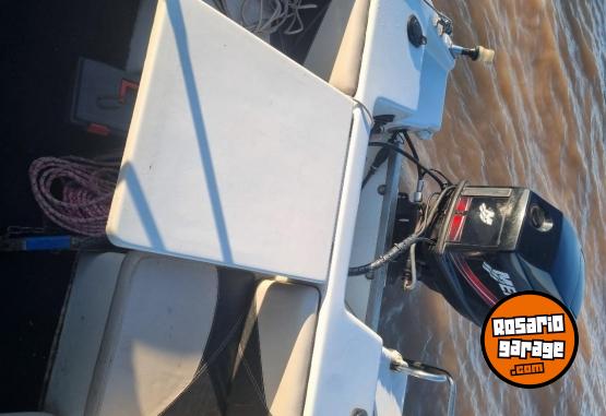Embarcaciones - Lancha 490 con Mercury 60 - En Venta