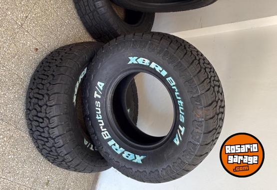 Accesorios para Autos - Xbri brutus - En Venta