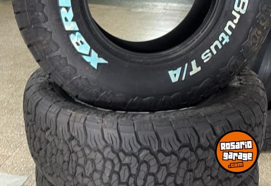 Accesorios para Autos - Xbri brutus - En Venta