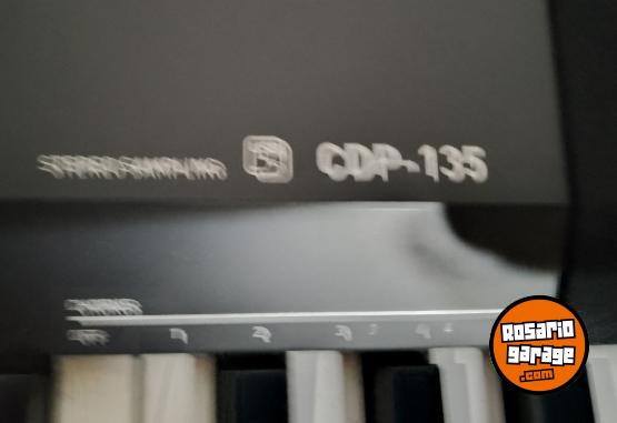 Instrumentos Musicales - Piano Digital Casio - En Venta