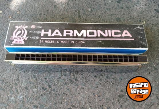 Instrumentos Musicales - Armonica - En Venta