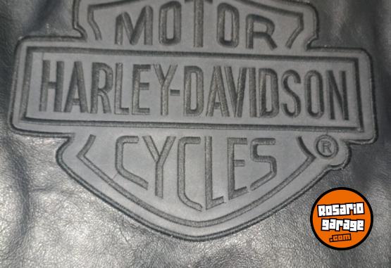Indumentaria - Campera de cuero vacuno Harley davidson - En Venta