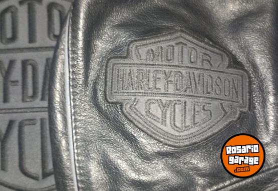 Indumentaria - Campera de cuero vacuno Harley davidson - En Venta