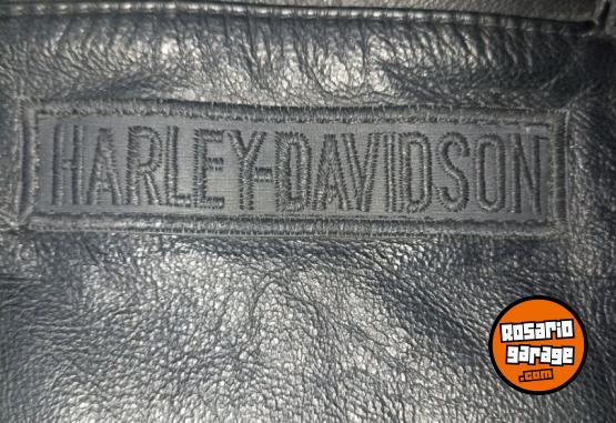 Indumentaria - Campera de cuero vacuno Harley davidson - En Venta