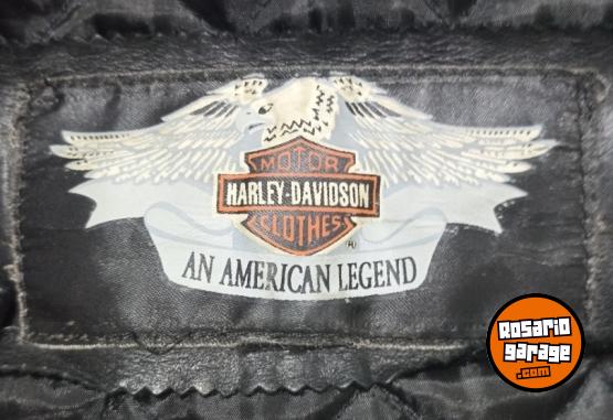 Indumentaria - Campera de cuero vacuno Harley davidson - En Venta