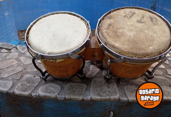 Instrumentos Musicales - Bongo Thunder - En Venta