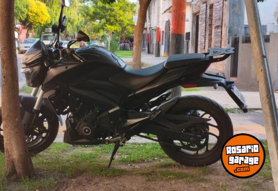 Motos - Bajaj Dmoinar 250 2022 Nafta 11534Km - En Venta