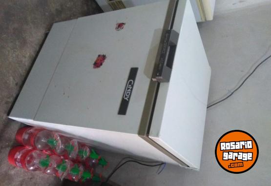 Hogar - Freezer industrial Grande de 160lts✨ IDEAL EMPRENDIMIENTO - En Venta