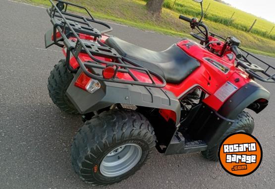 Cuatris y UTVs - Zanella GFORCE 250 2010 6500Km - En Venta