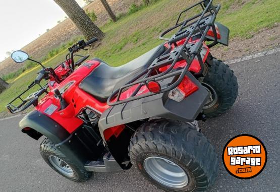 Cuatris y UTVs - Zanella GFORCE 250 2010 6500Km - En Venta