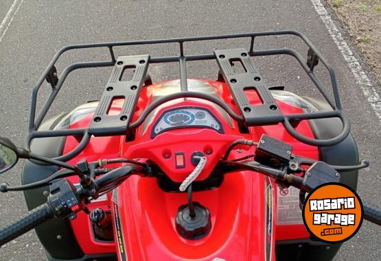 Cuatris y UTVs - Zanella GFORCE 250 2010 6500Km - En Venta