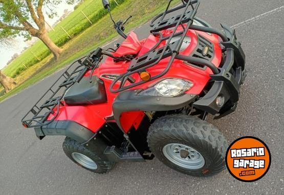 Cuatris y UTVs - Zanella GFORCE 250 2010 6500Km - En Venta