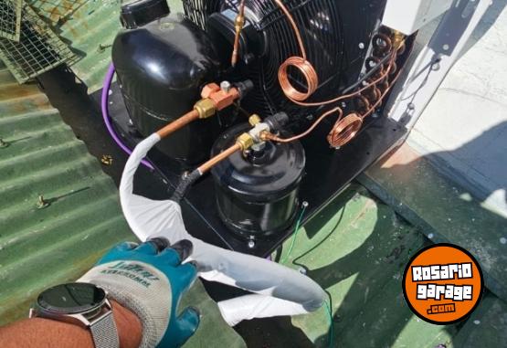 Otros - CAMARAS FRIGOR�FICAS PROFESIONALES - En Venta