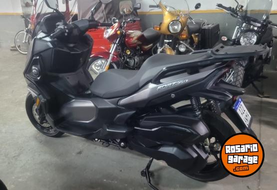 Motos - Qj Motor Fort 350 2025 Nafta 2300Km - En Venta