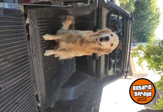 Camionetas - Fiat STRADA 2019 Nafta 94000Km - En Venta