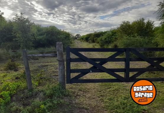 Otros - VENDO CAMPO - En Venta