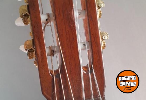 Instrumentos Musicales - Vendo Criolla "Romantica Music" - En Venta