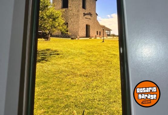 Telefon�a - iPhone 16 - En Venta