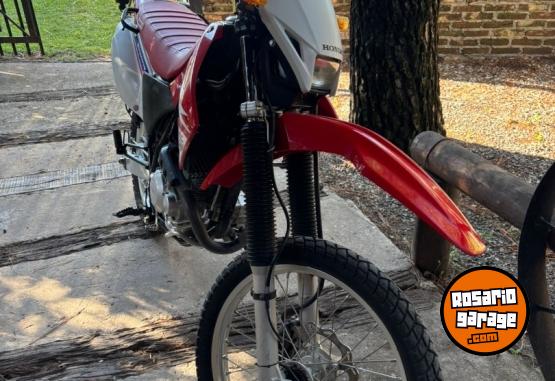 Motos - Honda XR250 TORNADO 2019 Nafta 22800Km - En Venta