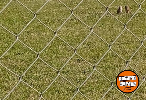 Embarcaciones - Cargó 520 2021 - En Venta