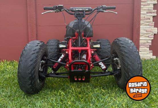 Cuatris y UTVs - Guerrero Mapuche gft 300 2008  5000Km - En Venta