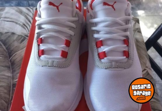 Indumentaria - Zapatillas Puma Ferrari - En Venta