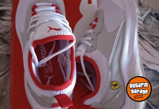 Indumentaria - Zapatillas Puma Ferrari - En Venta
