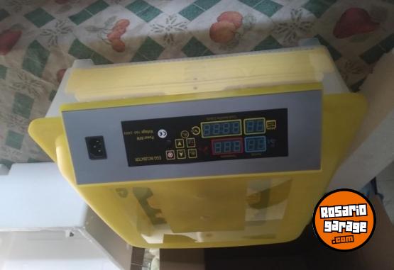 Otros - Incubadora 95% de nacimientos - En Venta