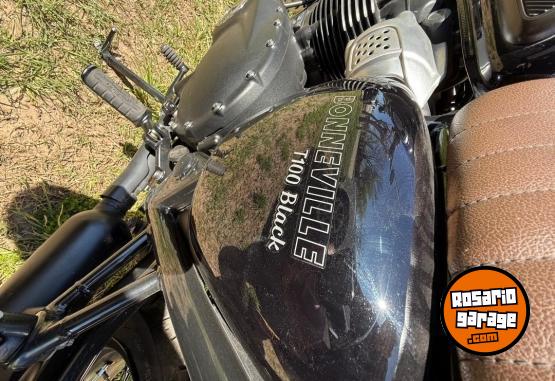 Motos - Triumph Triumph Bonneville T100 2019 Nafta 9800Km - En Venta