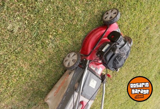 Herramientas - Cortadora de cesped - En Venta