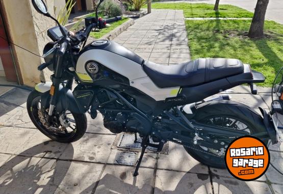 Motos - Benelli Leoncino 250 2023 Nafta 3500Km - En Venta