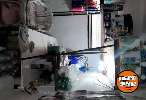 Otros - Negocio 5 estrella - En Venta