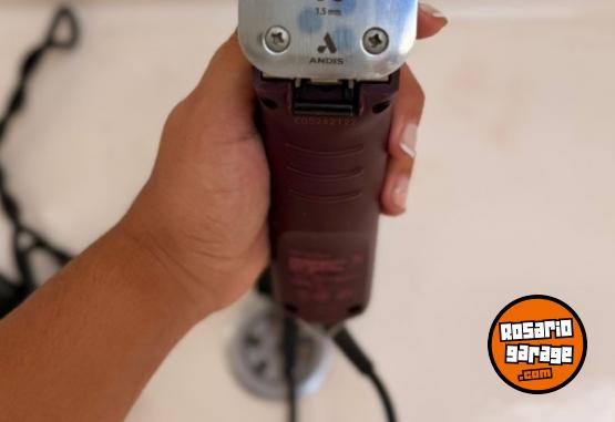 Hogar - Vendo urgente ! TODO PARA ARMAR TU PELUQUERÍA CANINA - En Venta