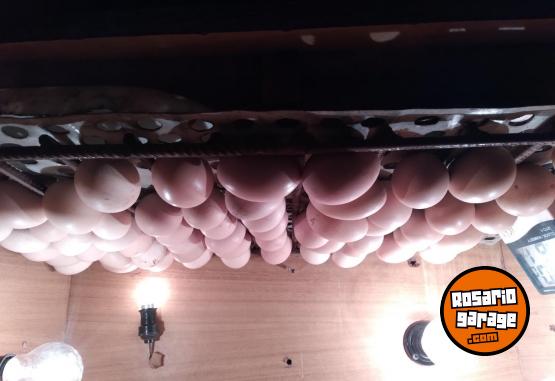 Otros - Incubadora 95 % de nacimiento - En Venta