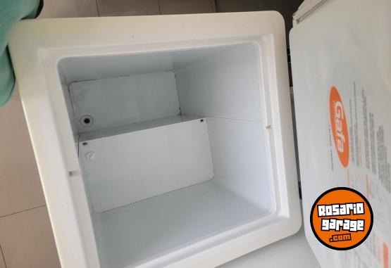 Hogar - Frizzer Gafa - En Venta