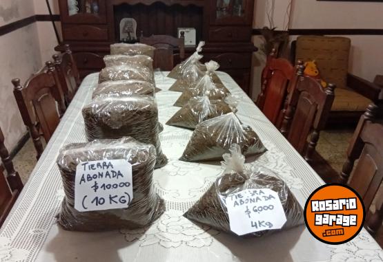 Otros - Venta de plantas de interiores y exteriores!! Orejas de elefante, costillas de adan, potus y demas!! - En Venta