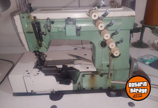 Hogar - M�quina Collareta - En Venta