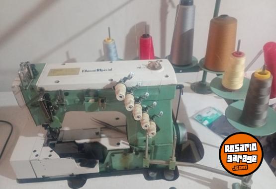 Hogar - M�quina Collareta - En Venta