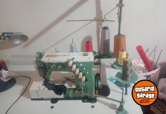 Hogar - M�quina Collareta - En Venta