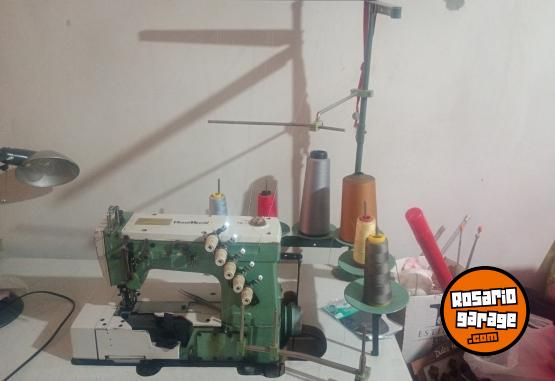 Hogar - M�quina Collareta - En Venta