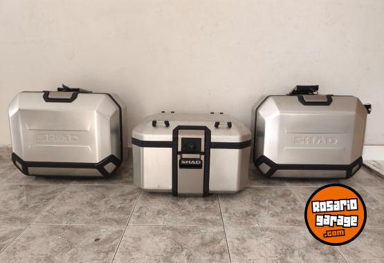 Motos - Voge 525 DSX Black knight 2025 Nafta 4248Km - En Venta