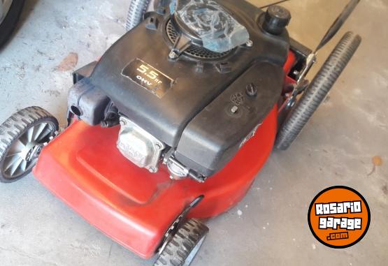 Herramientas - 🚨 CORTADORA 5.5 HP COMO NUEVA � LISTA PARA USAR 🚨 - En Venta